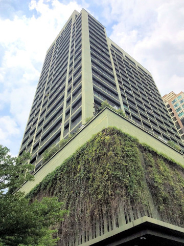 Noble Solo Thonglor